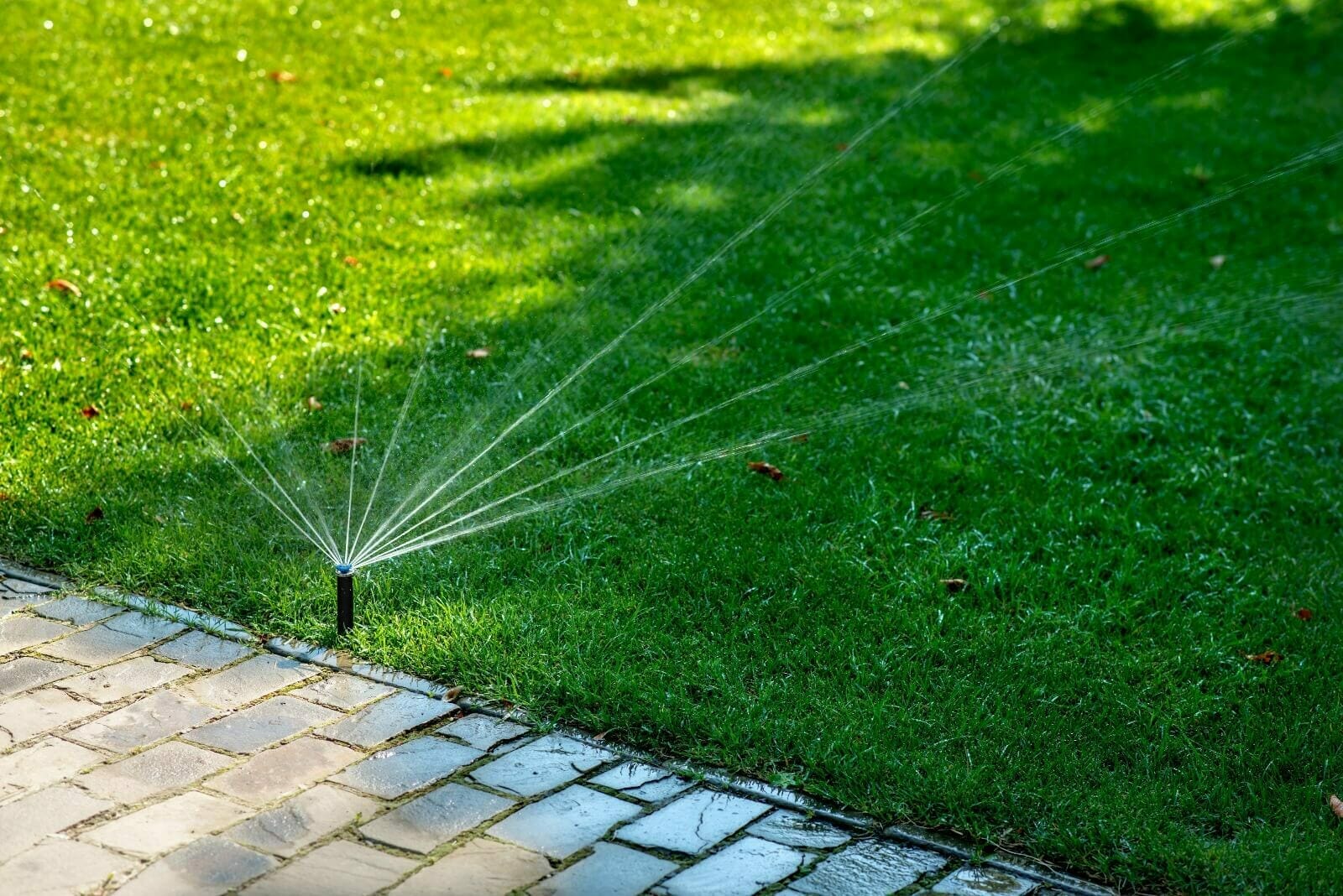 Lawn And Irrigation Services Near Me